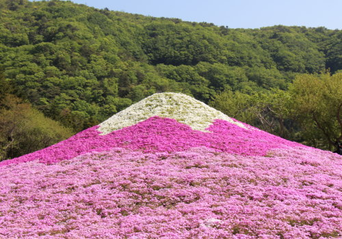 四季折々の山梨